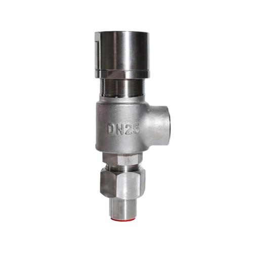 Stainless steel spring micro opening safety valve Stainless steel spring micro opening safety valve